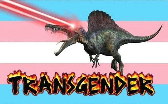 feliz dia de invencibilidade trans ou algo assim <33