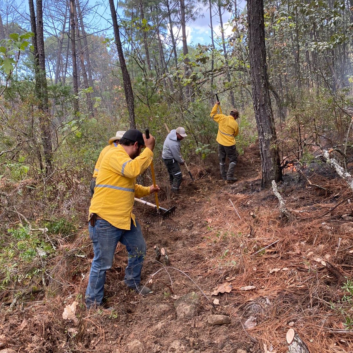 10 brigadistas del OPD Sierra de Quila se encuentran combatiendo un incendio forestal ocasionado por un rayo en el paraje conocido como el Paso de los Puercos, en la Comunidad Indígena de Tenamaxtlán, al interior de #SierraDeQuila.

Estatus: Controlado #TodosSomosSierradeQuila