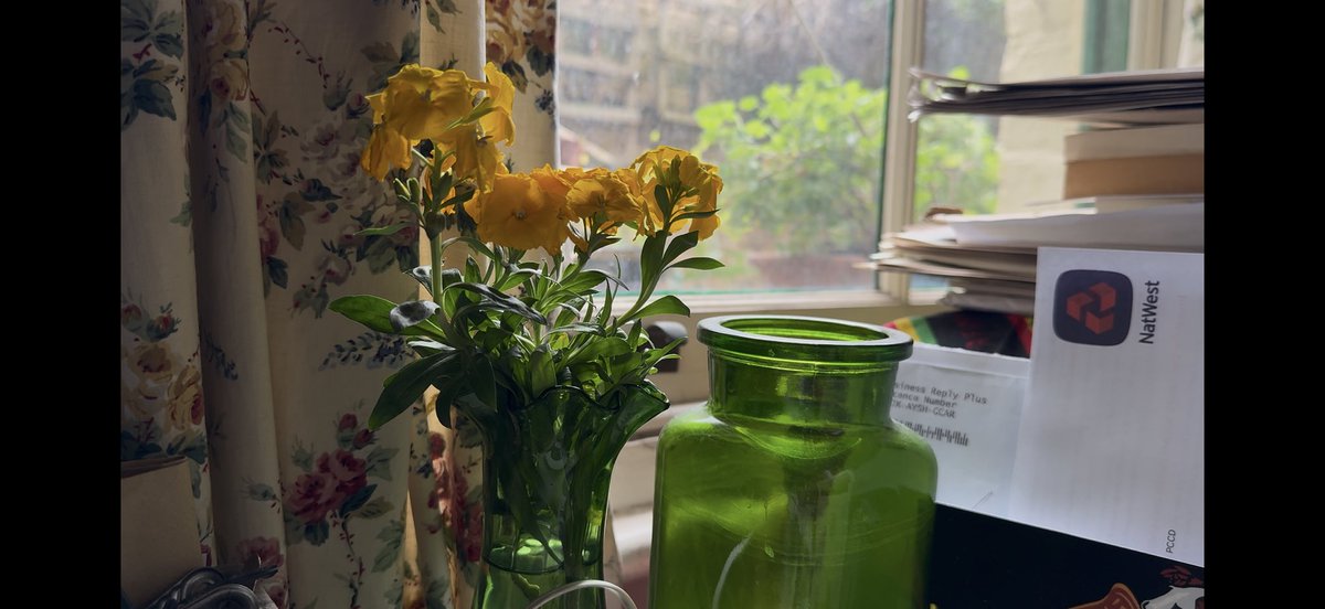 Kasper Collin tweet media