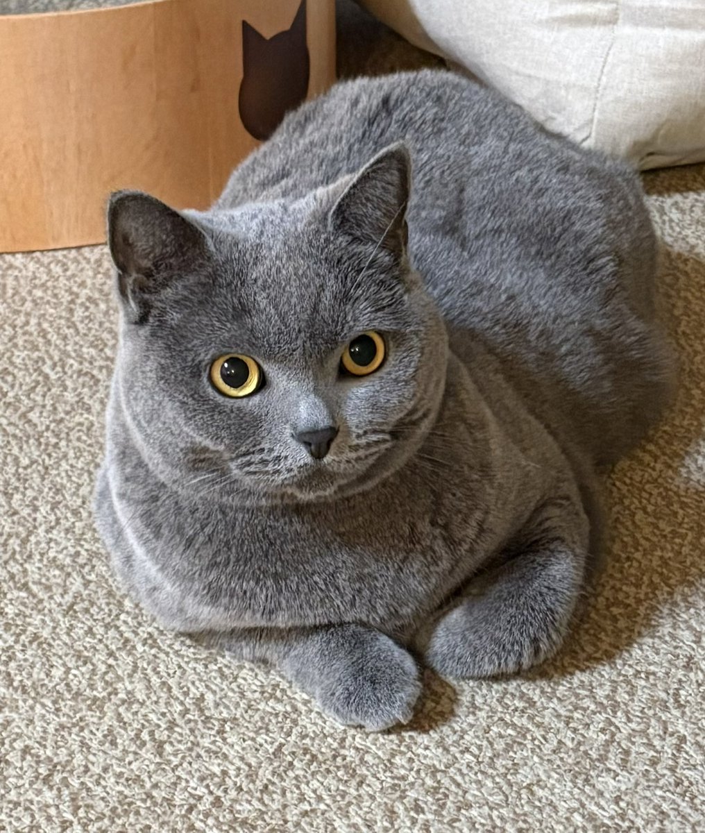 ちゃみ tweet media