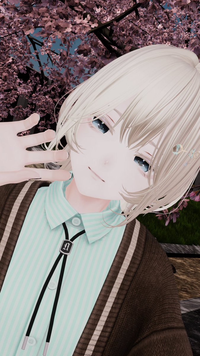 ぽちこねこ tweet media