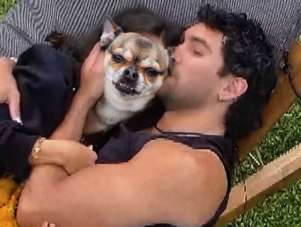 Tío Harry Sin Censura tweet media