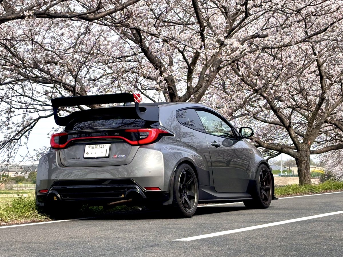 シューミー　T.Schumi 🇩🇪 tweet media