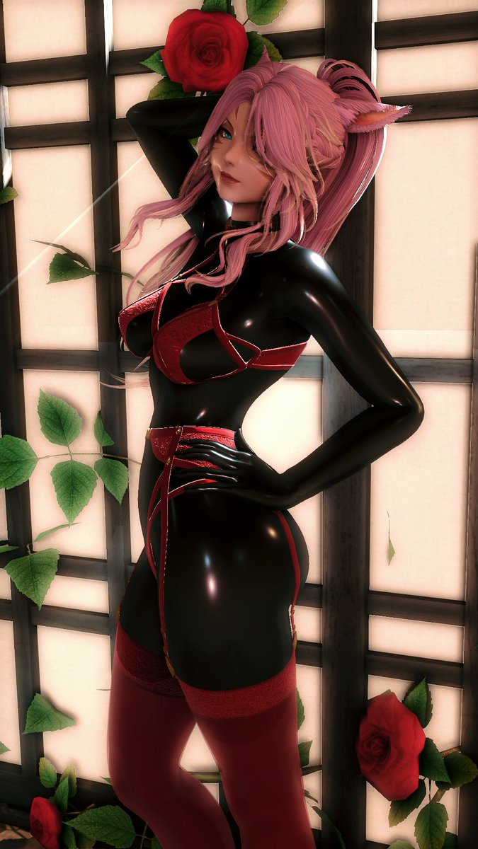 Mizore the Dommy Catto tweet media