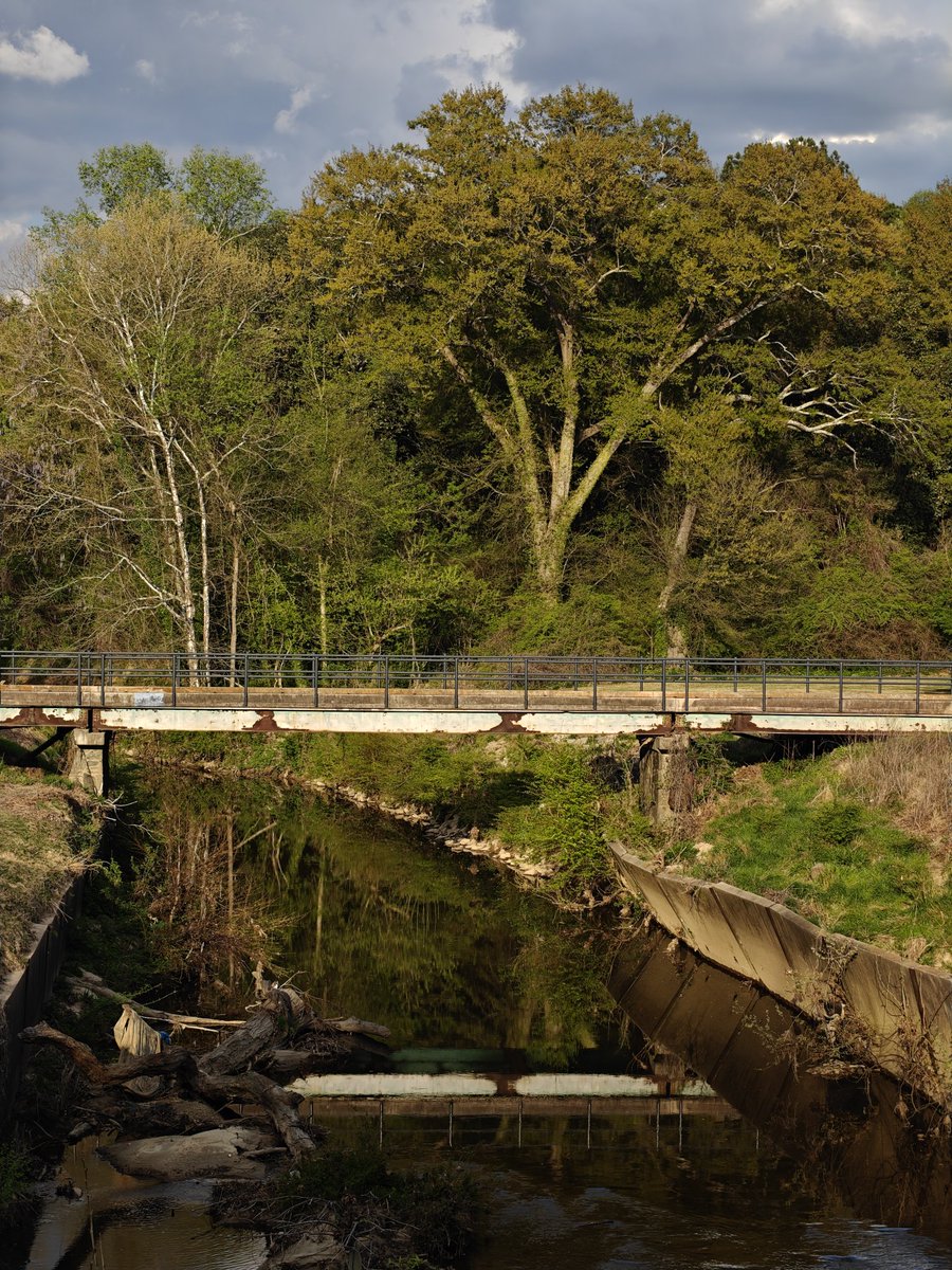 Influencer Vision tweet media