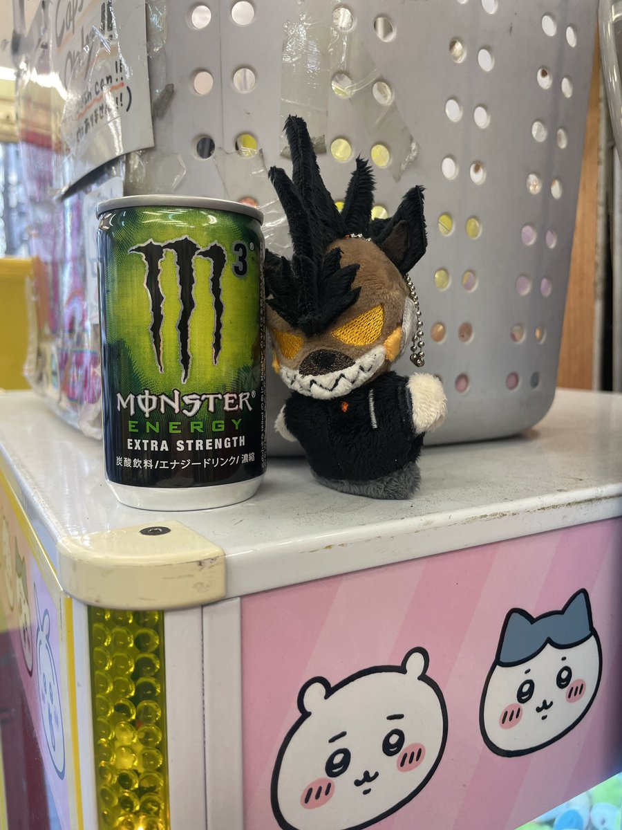 spectrumelf's tweet photo. @hogeyamahogator I took my beloved plush with me on a trip to Japan last year! Loved it!!! https://t.co/cBdbCfyKsm