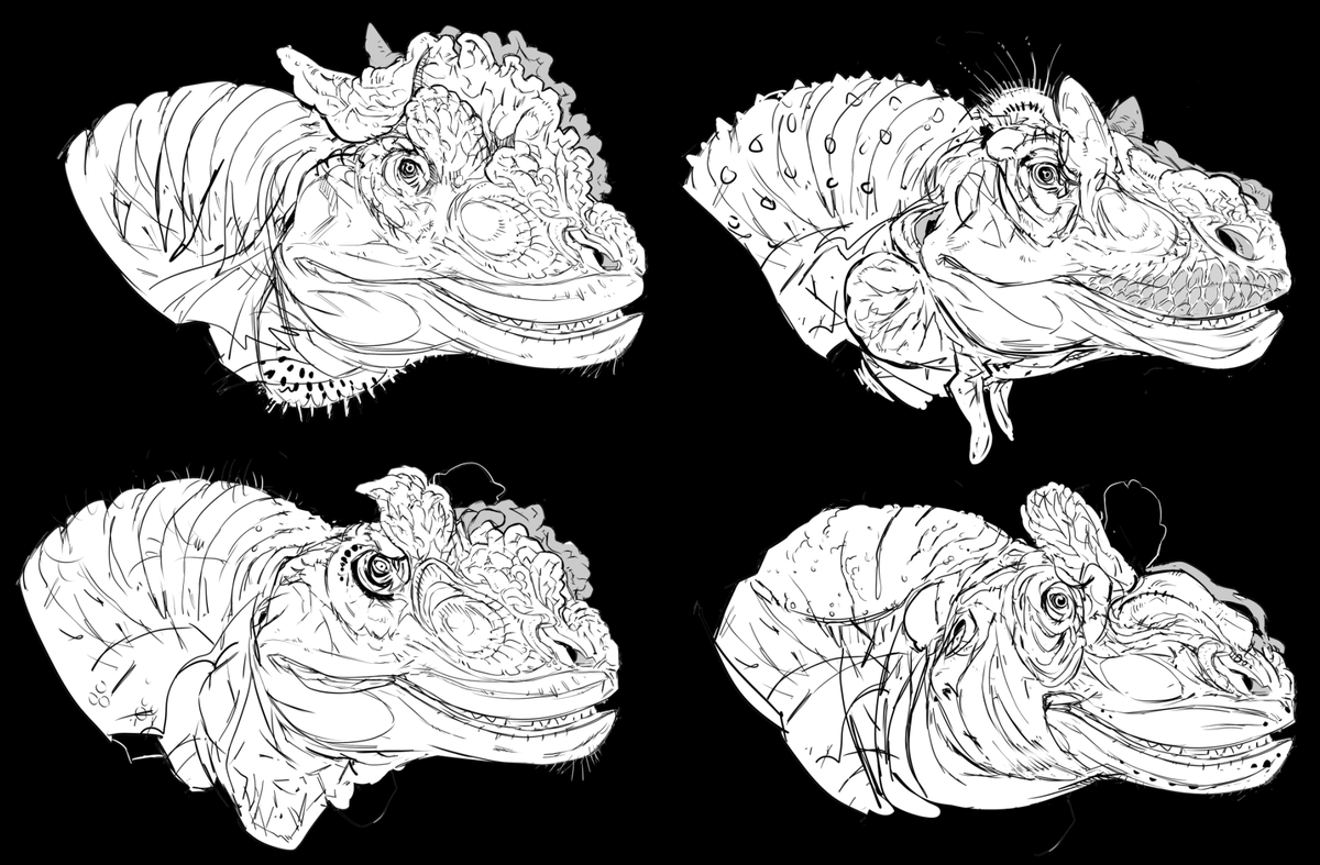 Some scribbles of allosaurus with wattle etc