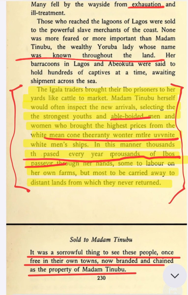 he who walks in the shadows. tweet media