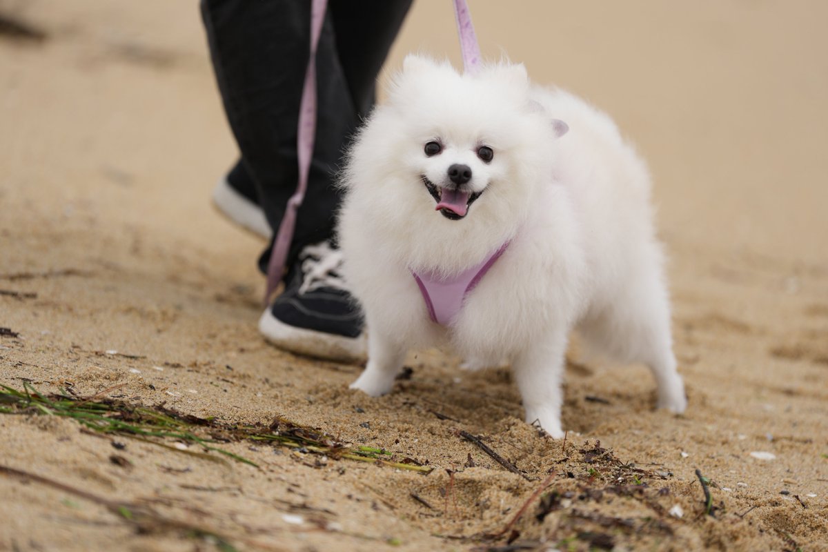 스테이씨 도서관🐰 tweet media