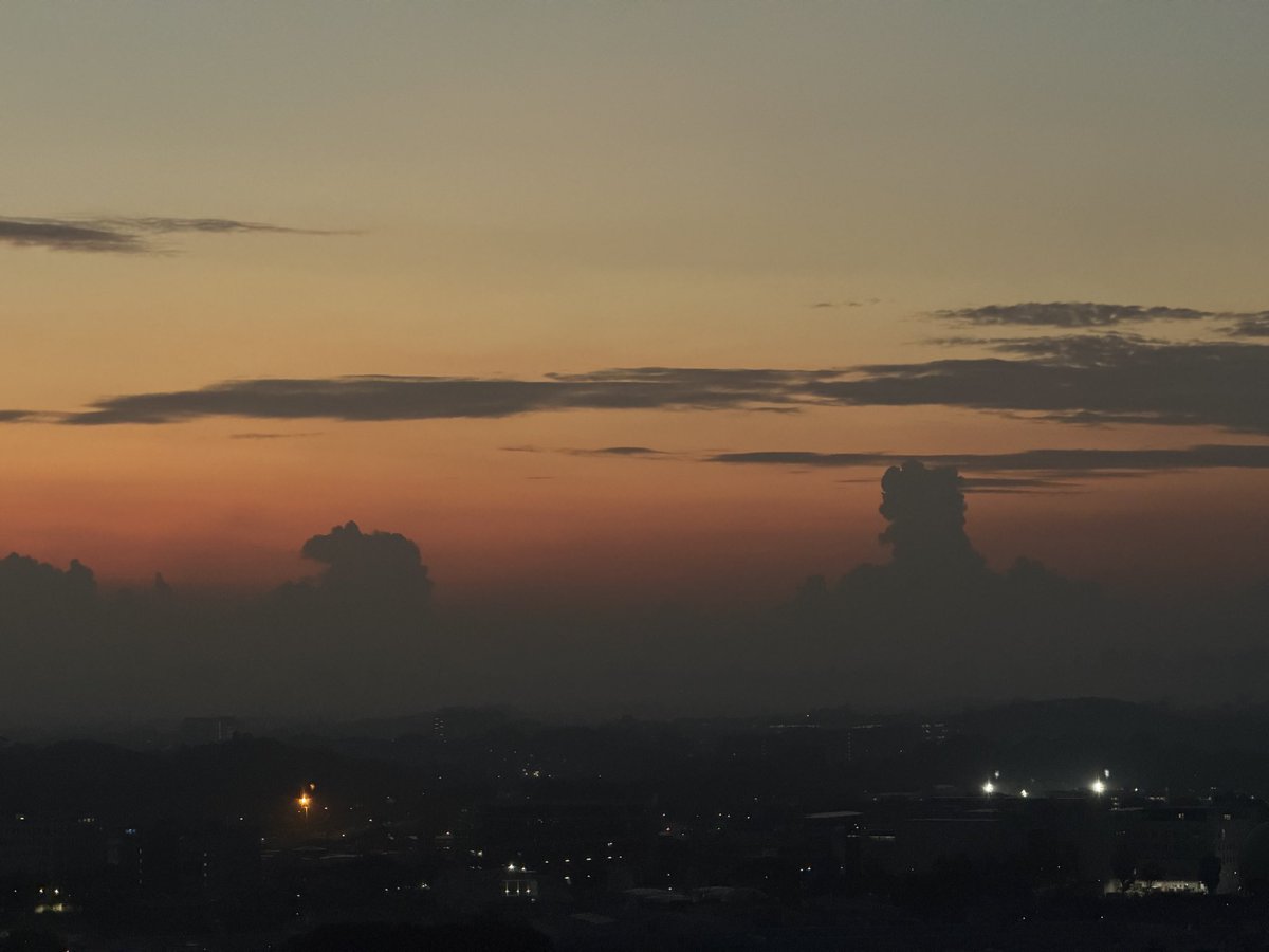 c_Seed🇸🇬 tweet media