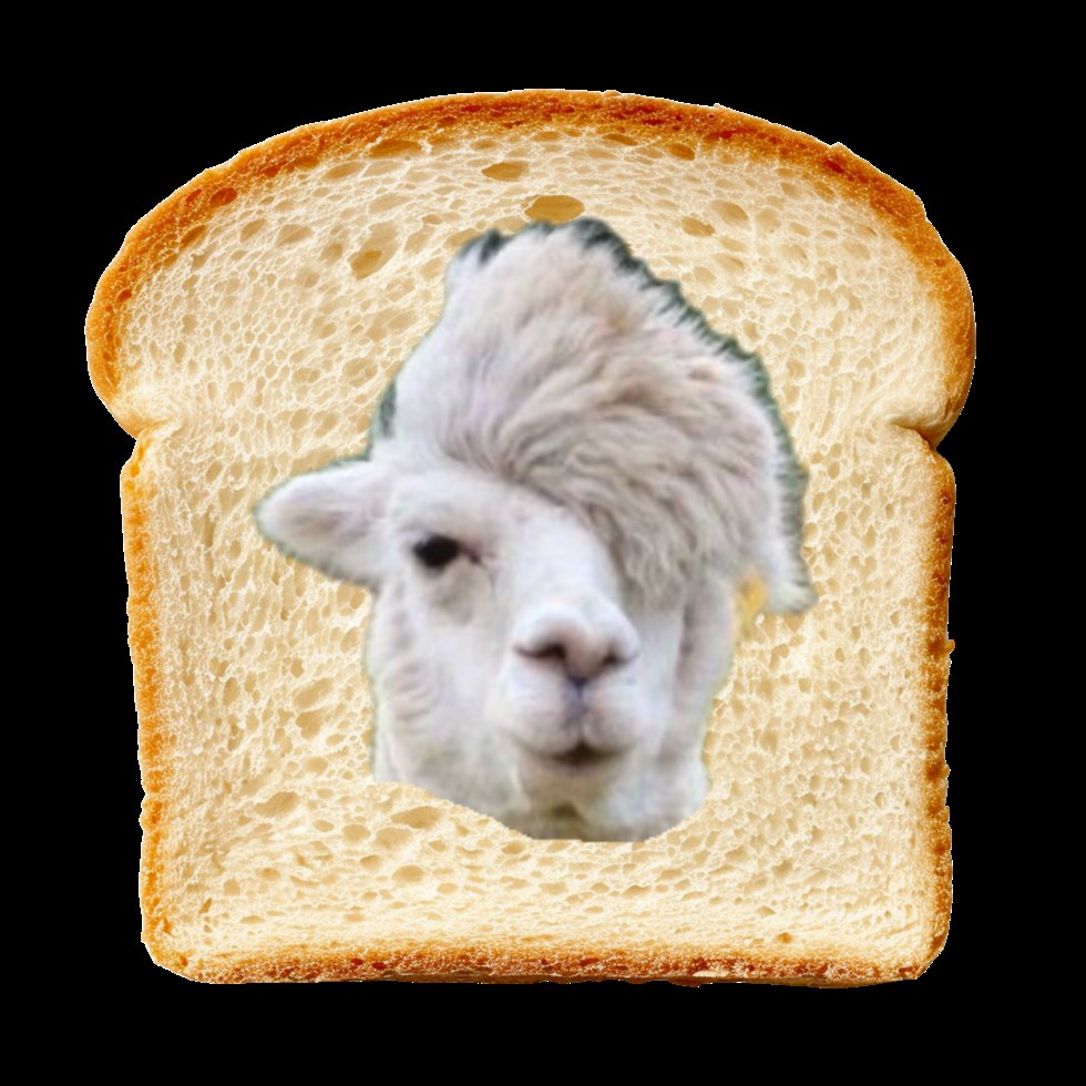 🍞 와우빵 🍞 tweet media