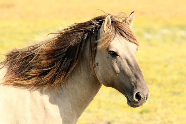 Crystal Groom tweet media