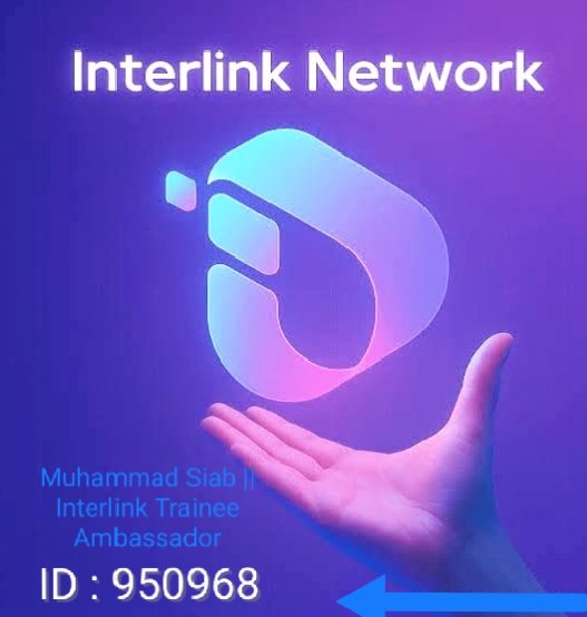 Muhammad Siab || Interlink Trainee Ambassador tweet media