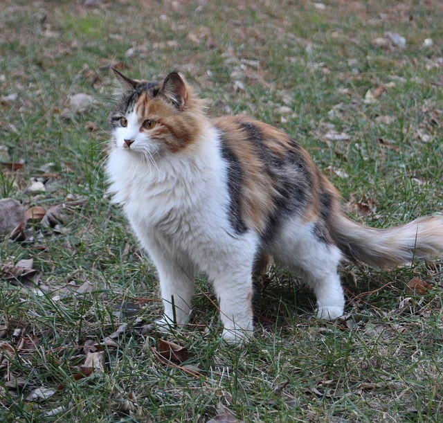 Peter Funcke tweet media