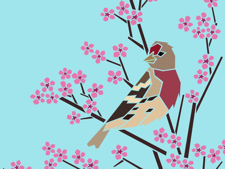 University of Washington tweet media