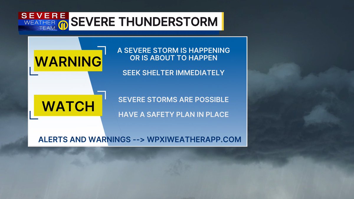 Stephanie Allison tweet media