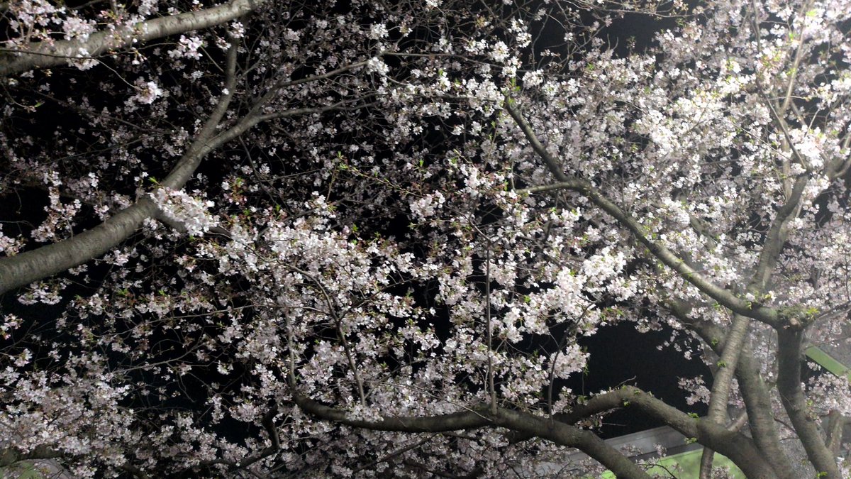 hiropost tweet media