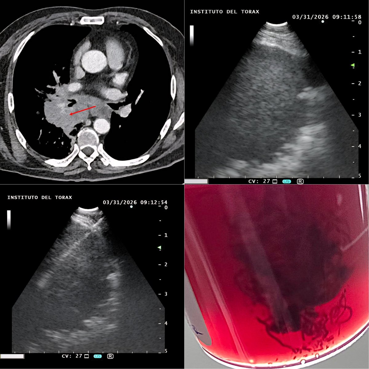 Alfredo Jalilie E. ألفريدو جاليلي 🇨🇱 🇵🇸 tweet media
