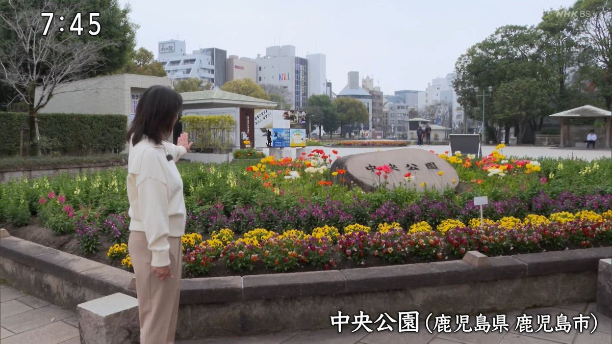 にわとまと tweet media