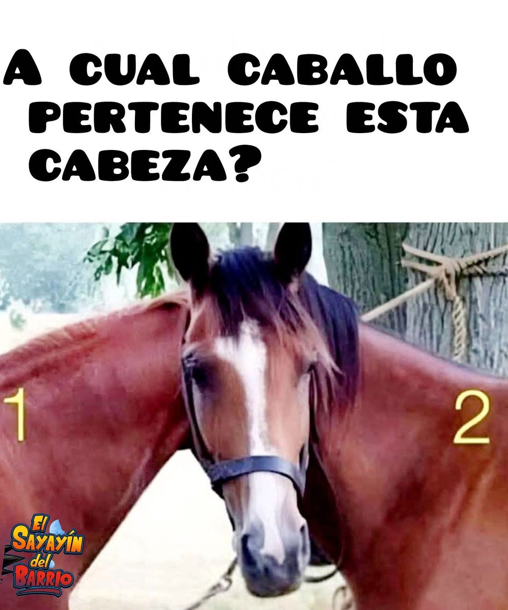 Diego Royet tweet media