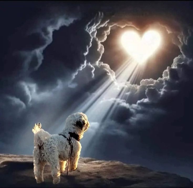 Beatriz Aguiar 🏳🏳🏳 tweet media