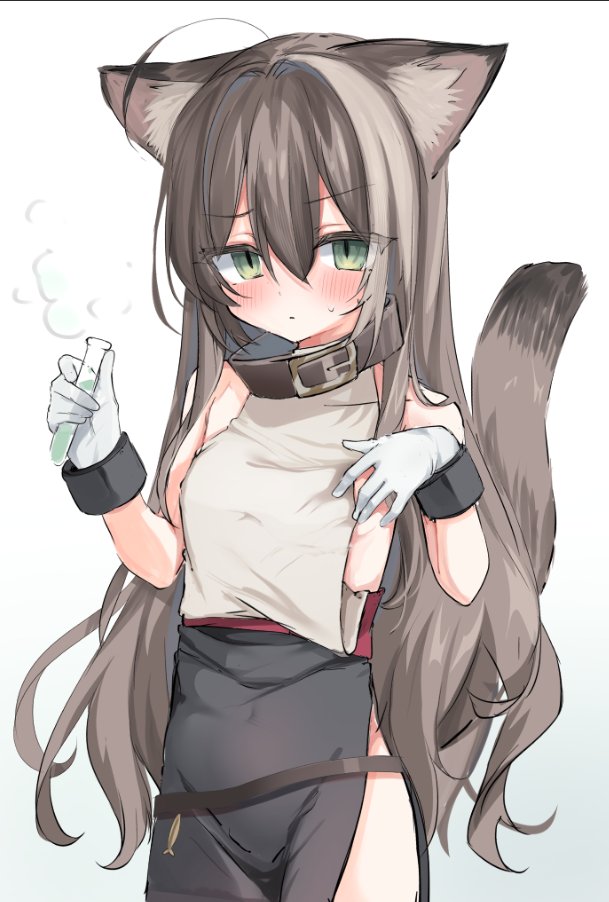 小さくなっちゃいました🐈 