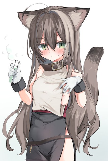 小さくなっちゃいました🐈 