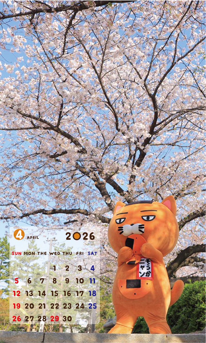 そうかニャン🍘ฅ(ↀᴥↀ)ฅT【公式】 tweet media