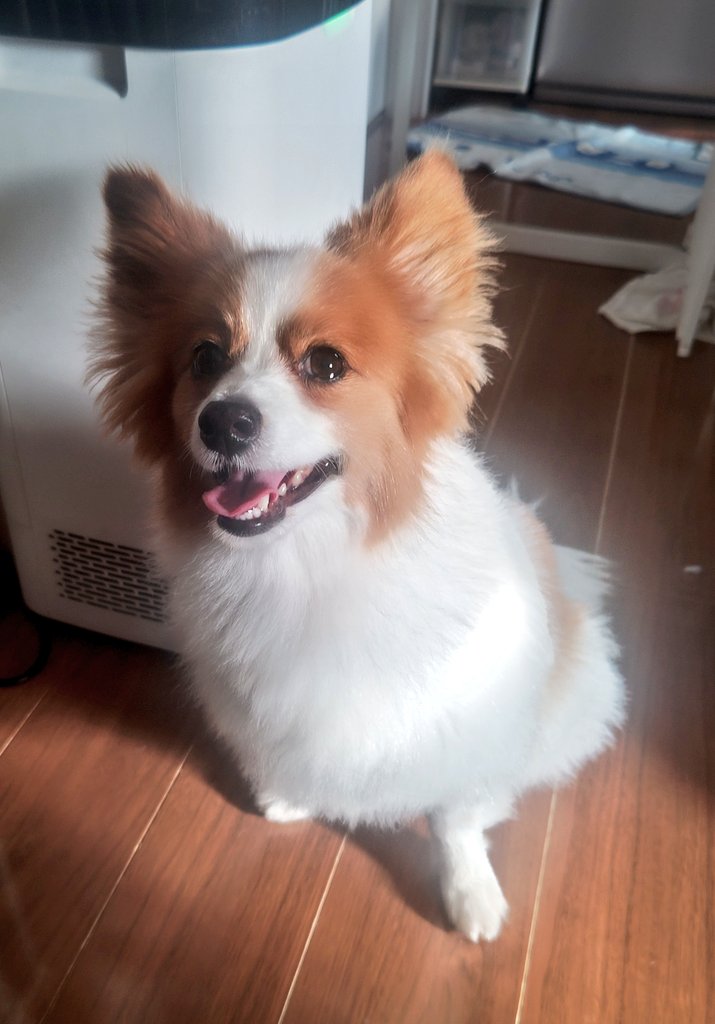 ぶっちゃん tweet media