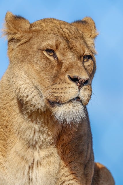 Phedra Leo tweet media