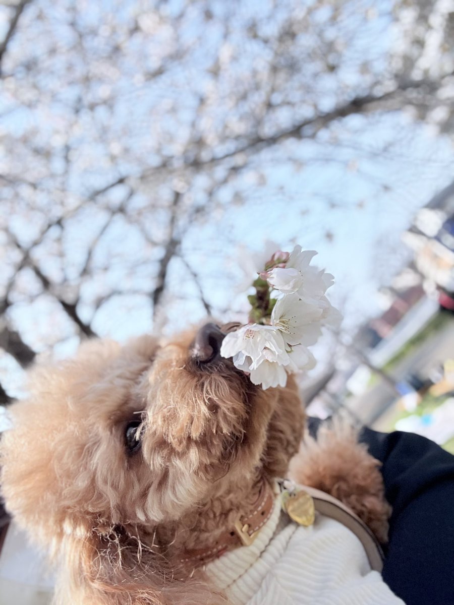 𝗇𝗈𝗇𝗂𝖼𝖺 tweet media