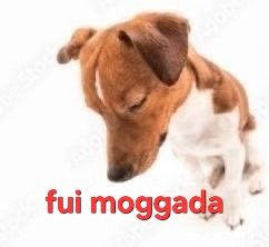 𝒜𝓃𝑔ℯ𝓁 ..𓂃 ࣪ ִֶָ🦇་༘࿐ tweet media