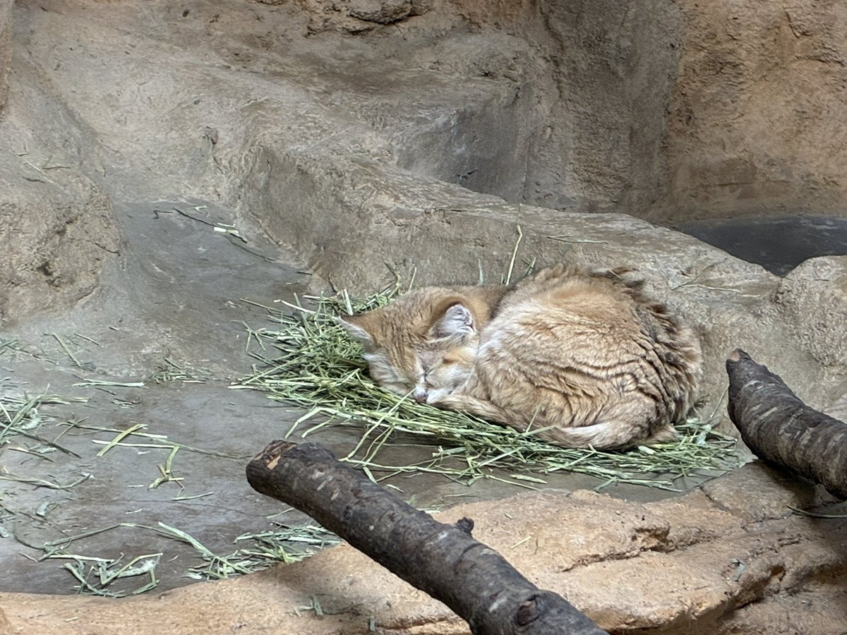 レイ・フロンティア株式会社【公式】 tweet media