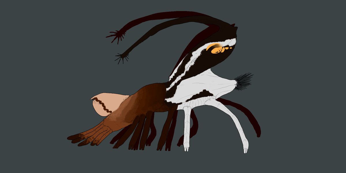 A large, snappy herbivore..&amp; a little guy who likes to look bigger :) #SpecEvo