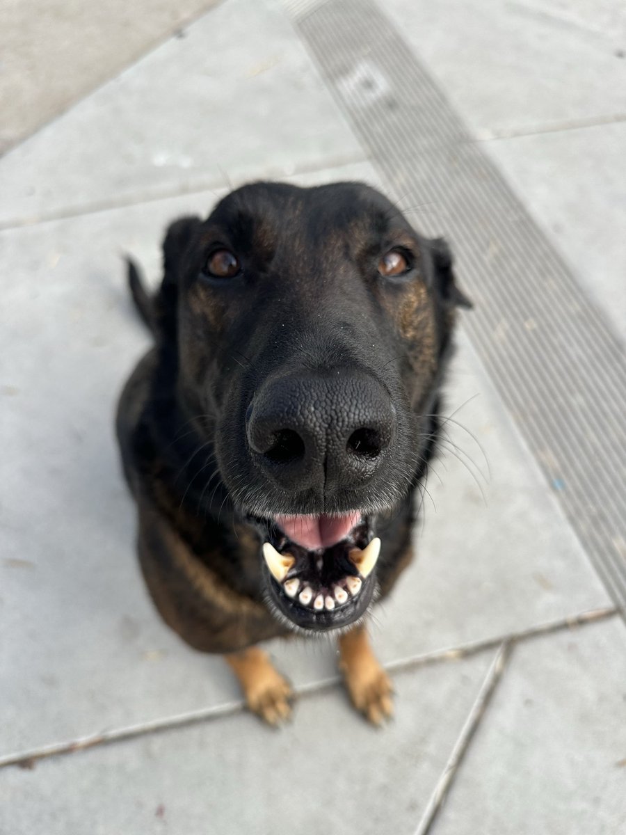 BKactual tweet media