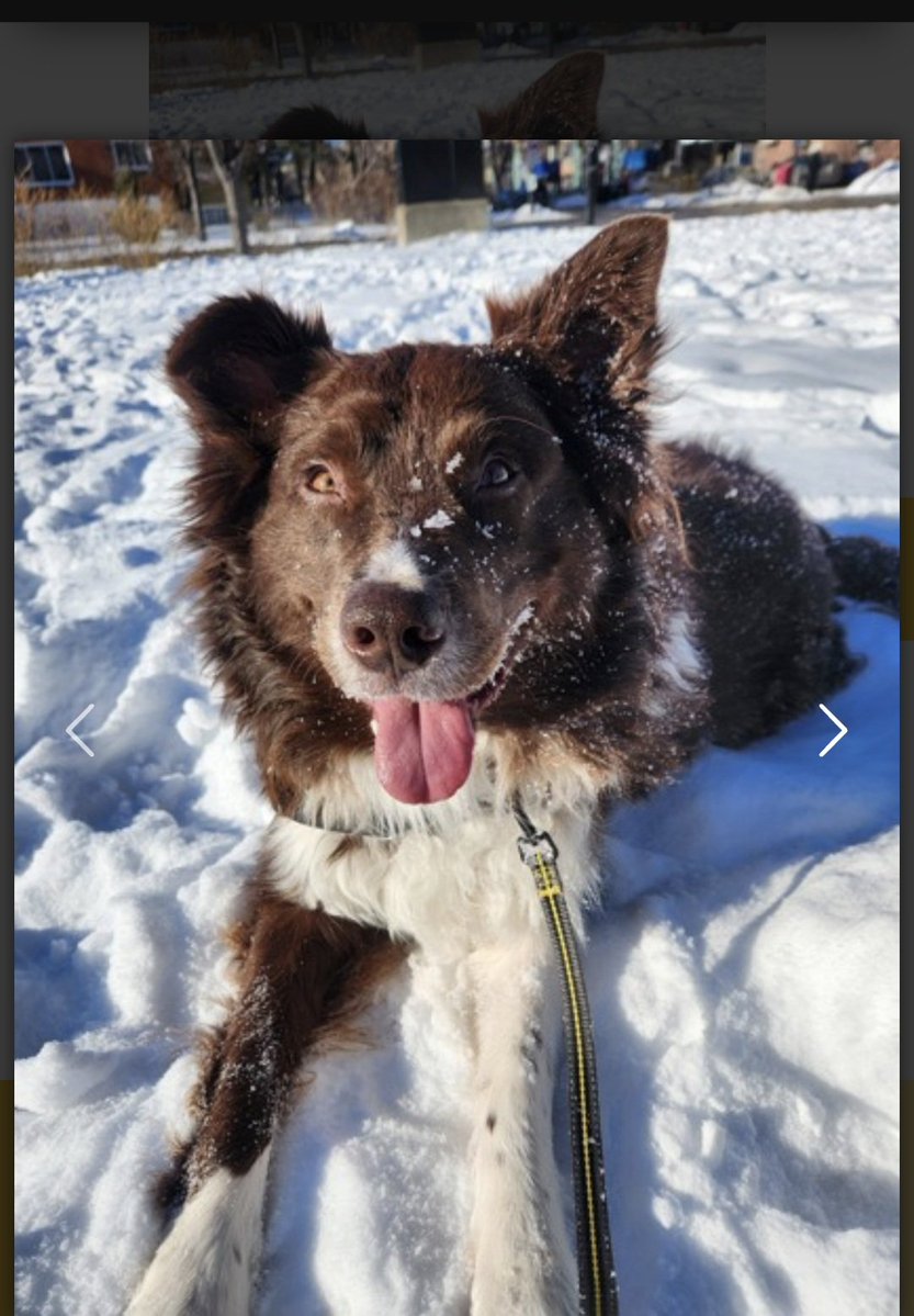 Eric Diamond ⚜ tweet media