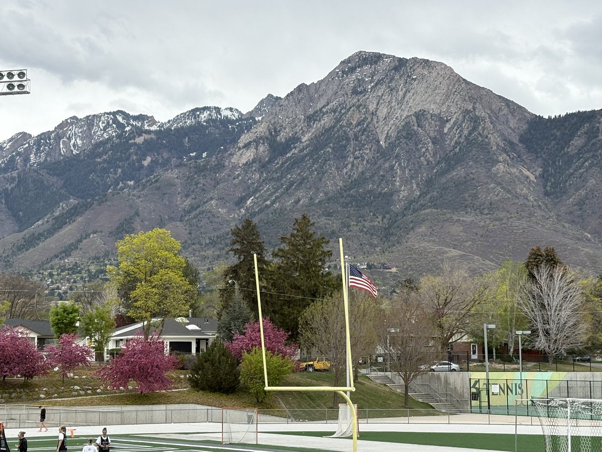 Michael Mower tweet media