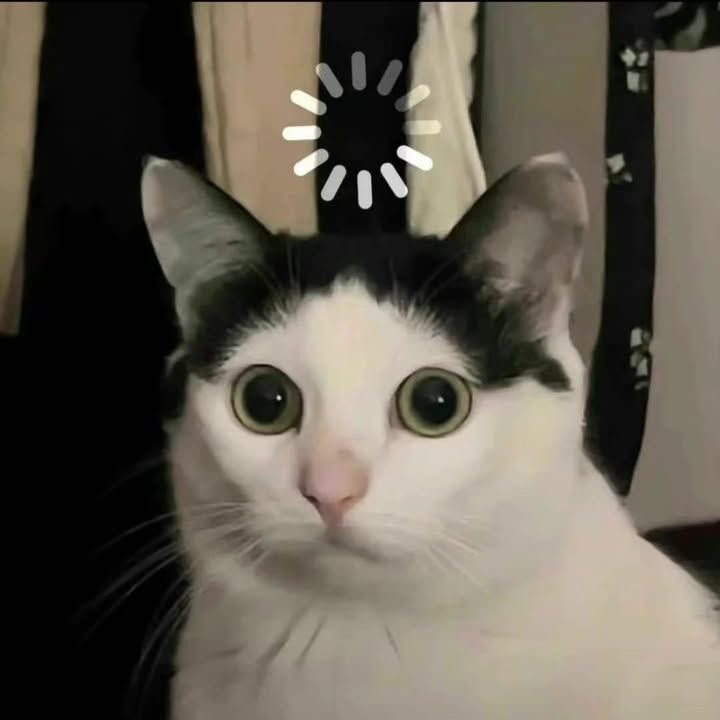 tinymeryem's tweet photo. @ErgunUnsal53346 https://t.co/wkyI5VuA7q