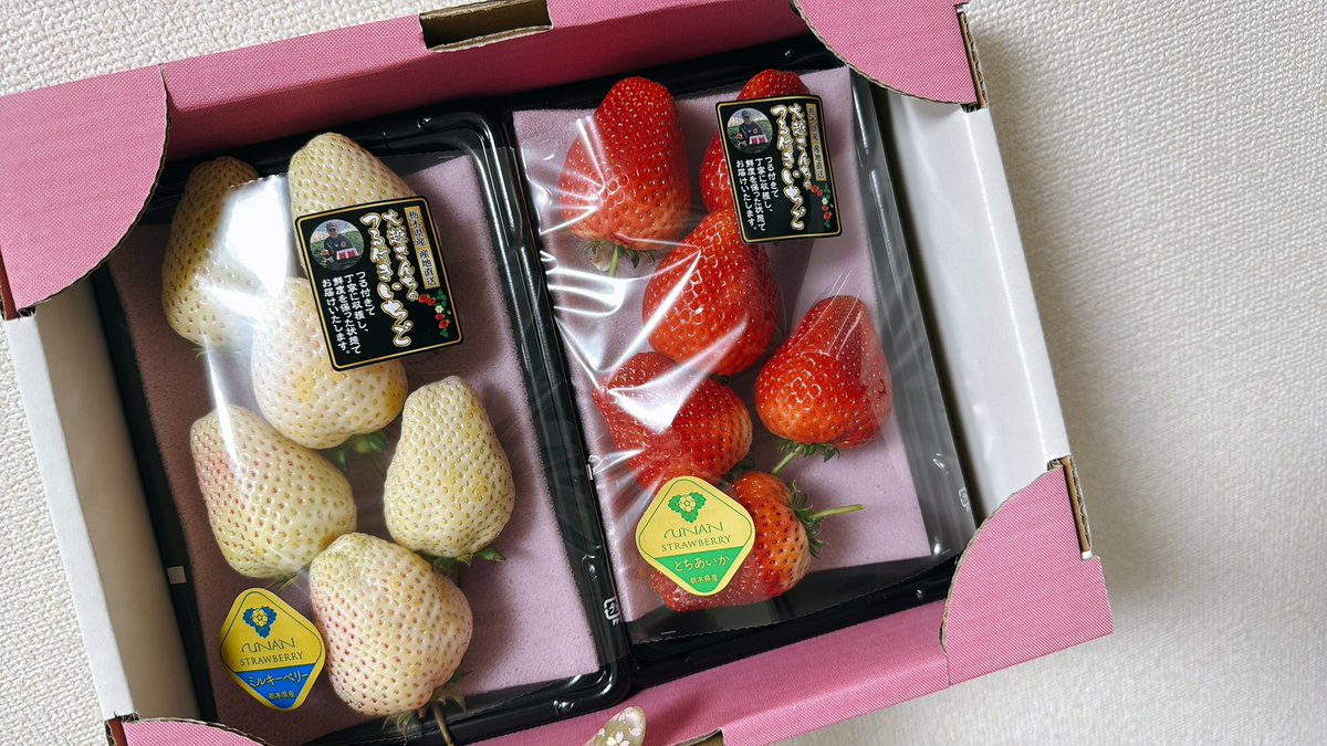 水瀬まなみ tweet media