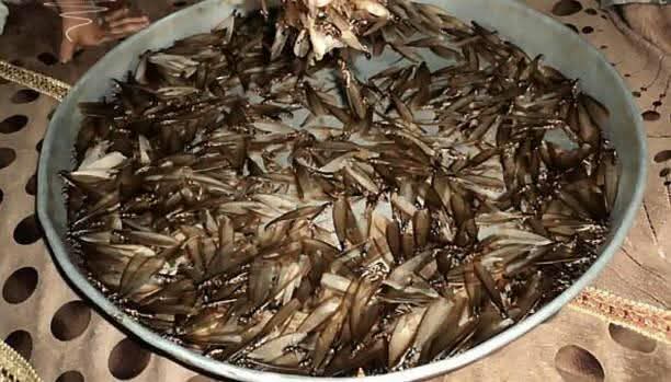 ترندات اليمن tweet media