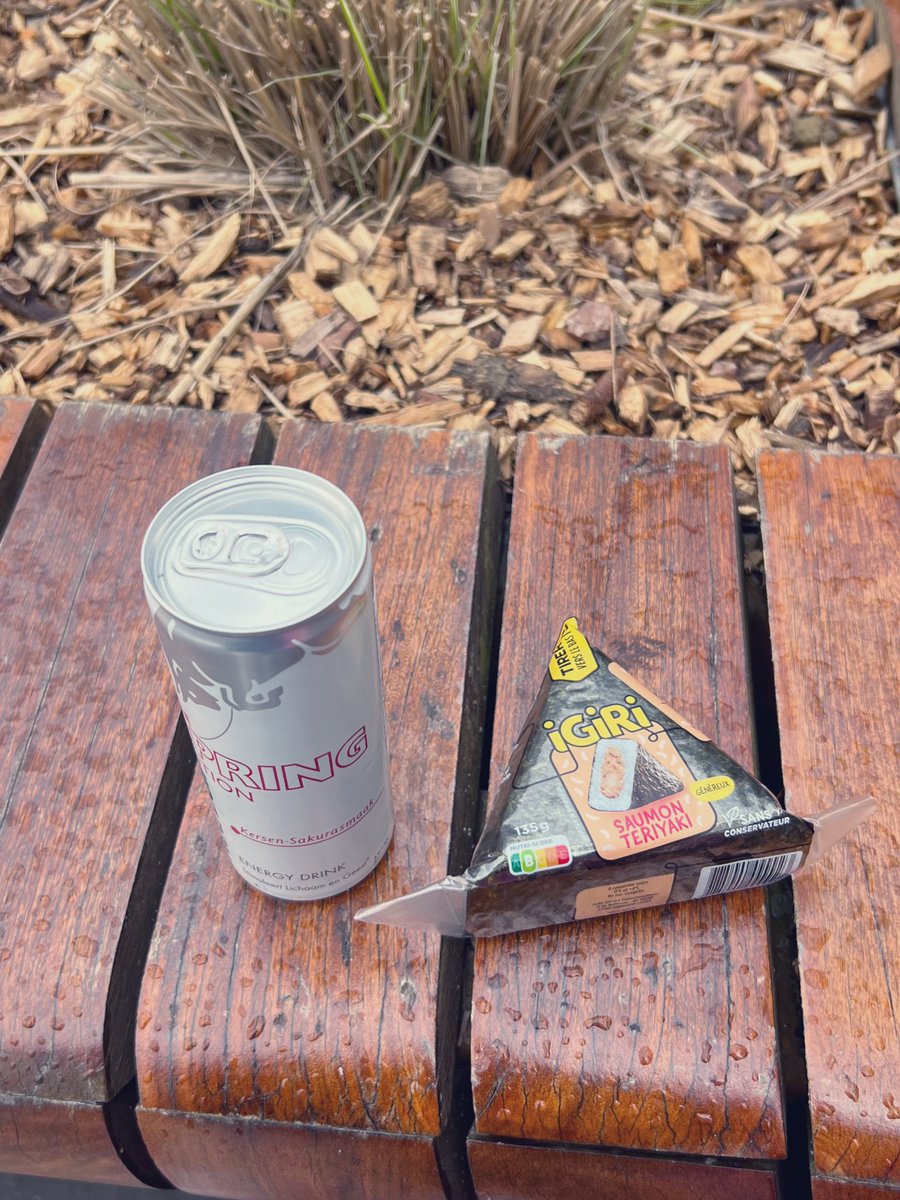 ୭₊˚🎀 lizzie ✿ ·˚ ₊ of shedtwt tweet media