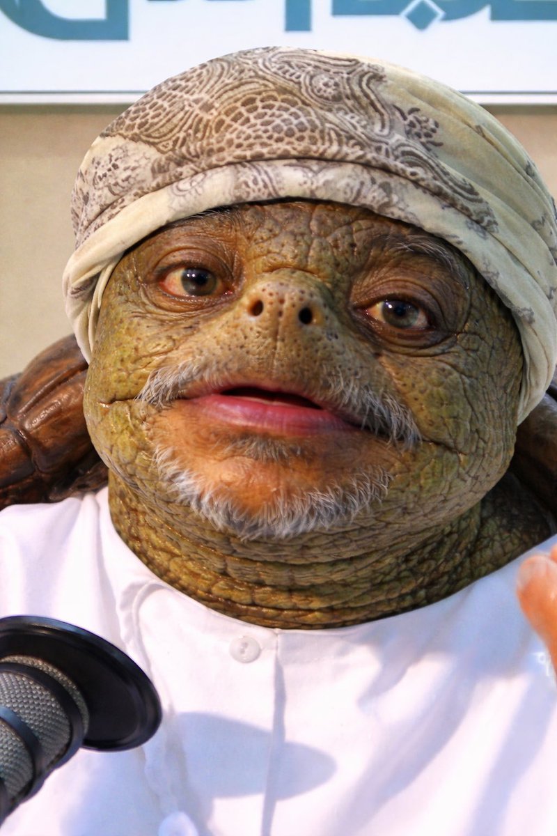 💙هلالي💙 tweet media