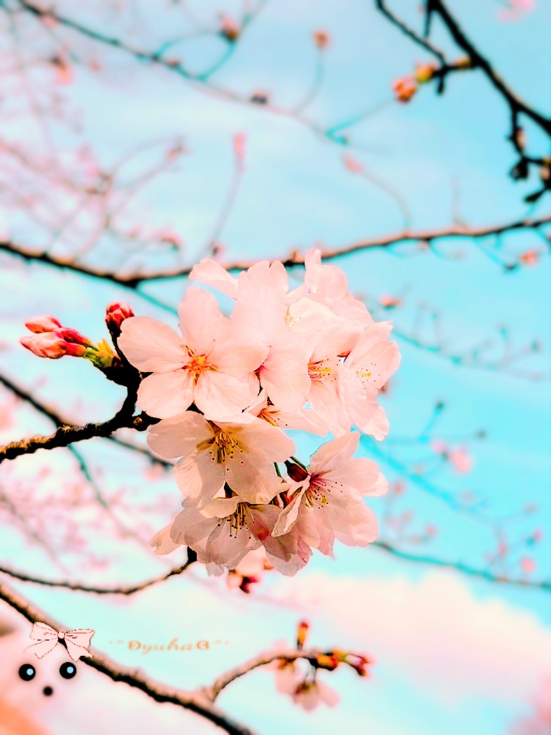 ϒᥙƚƚᥲ🤍ྀི໒꒱ 𓏸*˚˒ tweet media