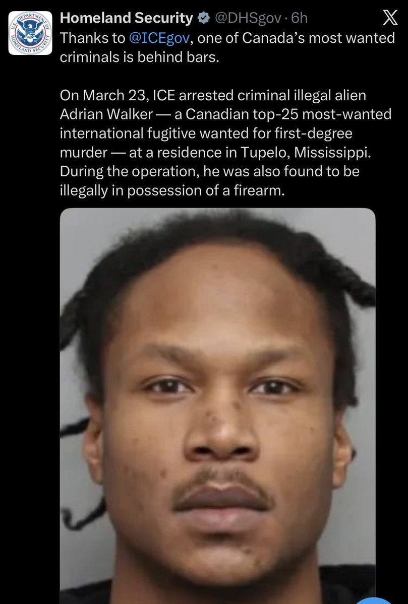 Mario Zelaya tweet media