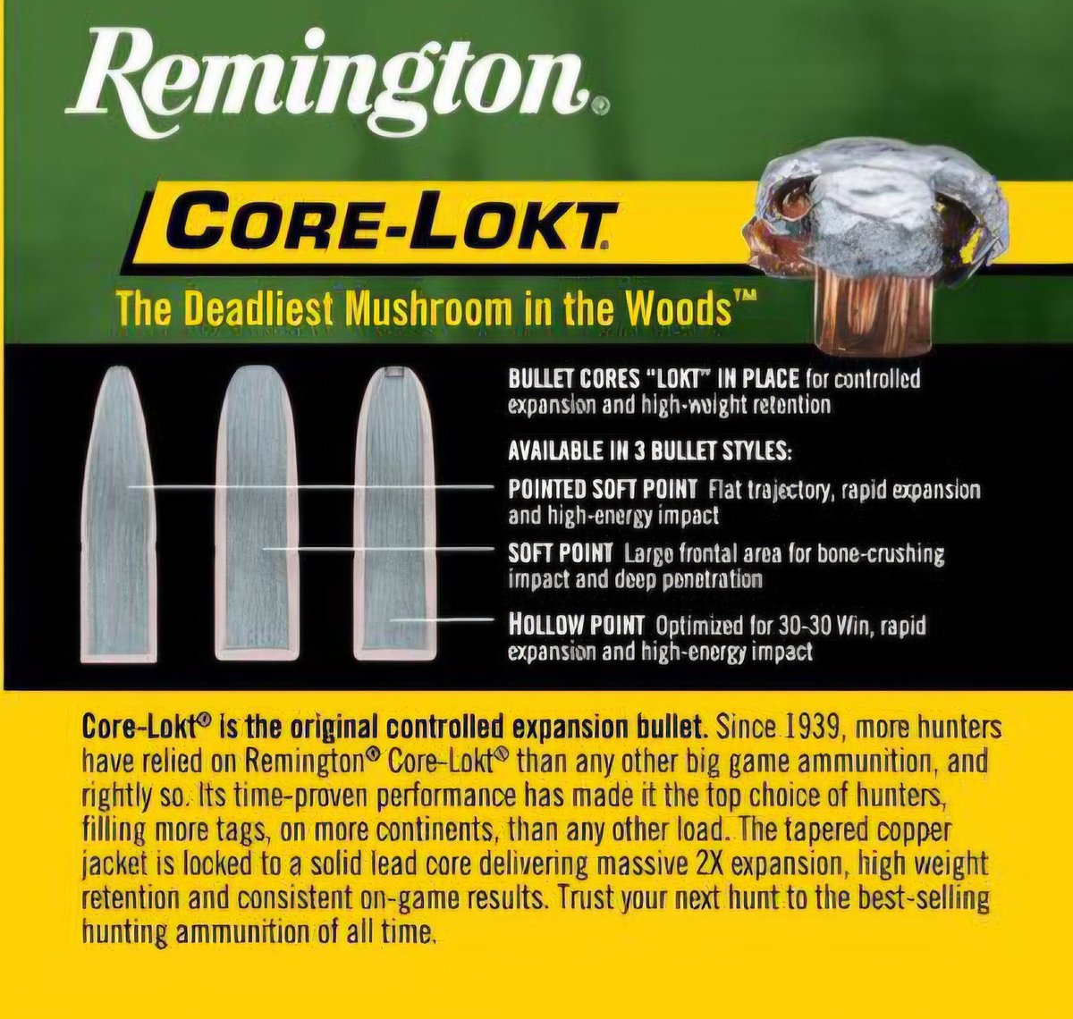 Trevor Reilly 🌸😃 tweet media