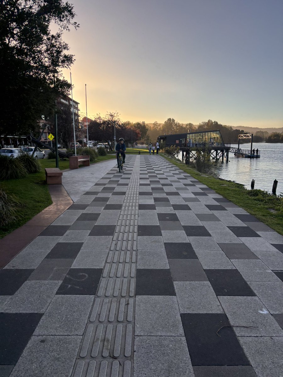 John Fredy Bustos López 😽 tweet media