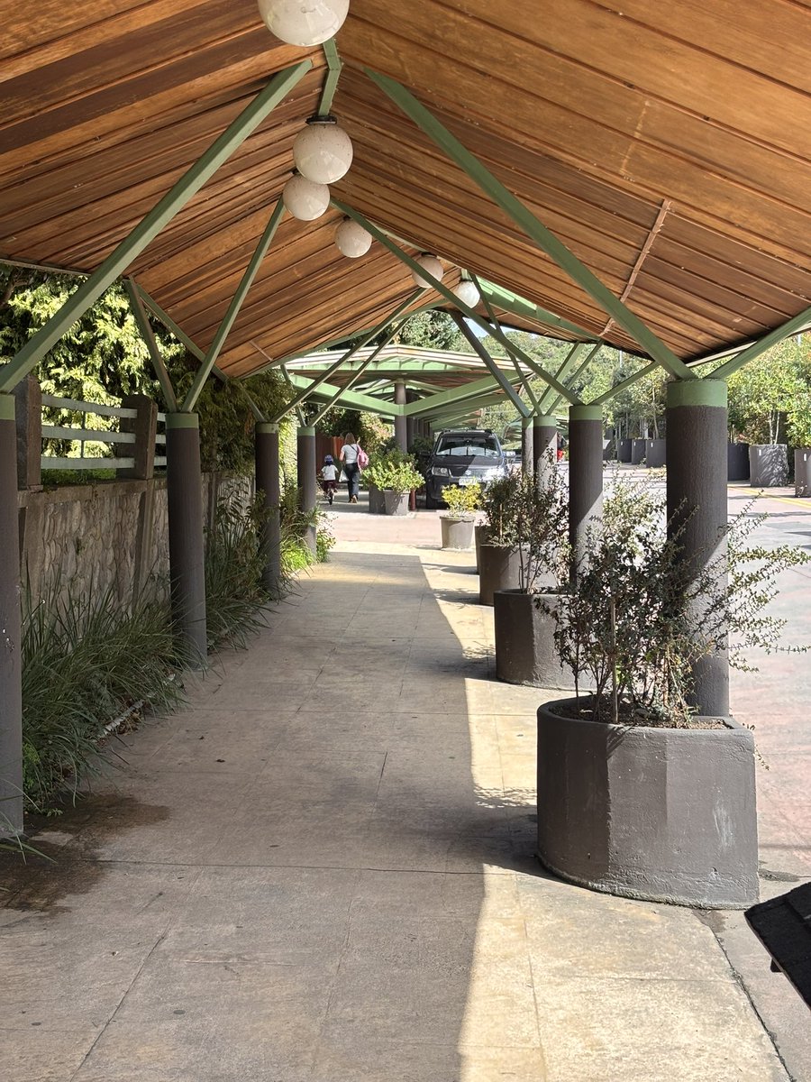 John Fredy Bustos López 😽 tweet media