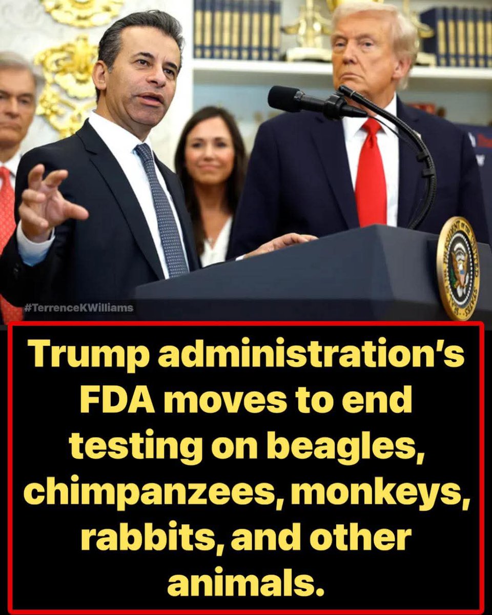 Debi Brand tweet media