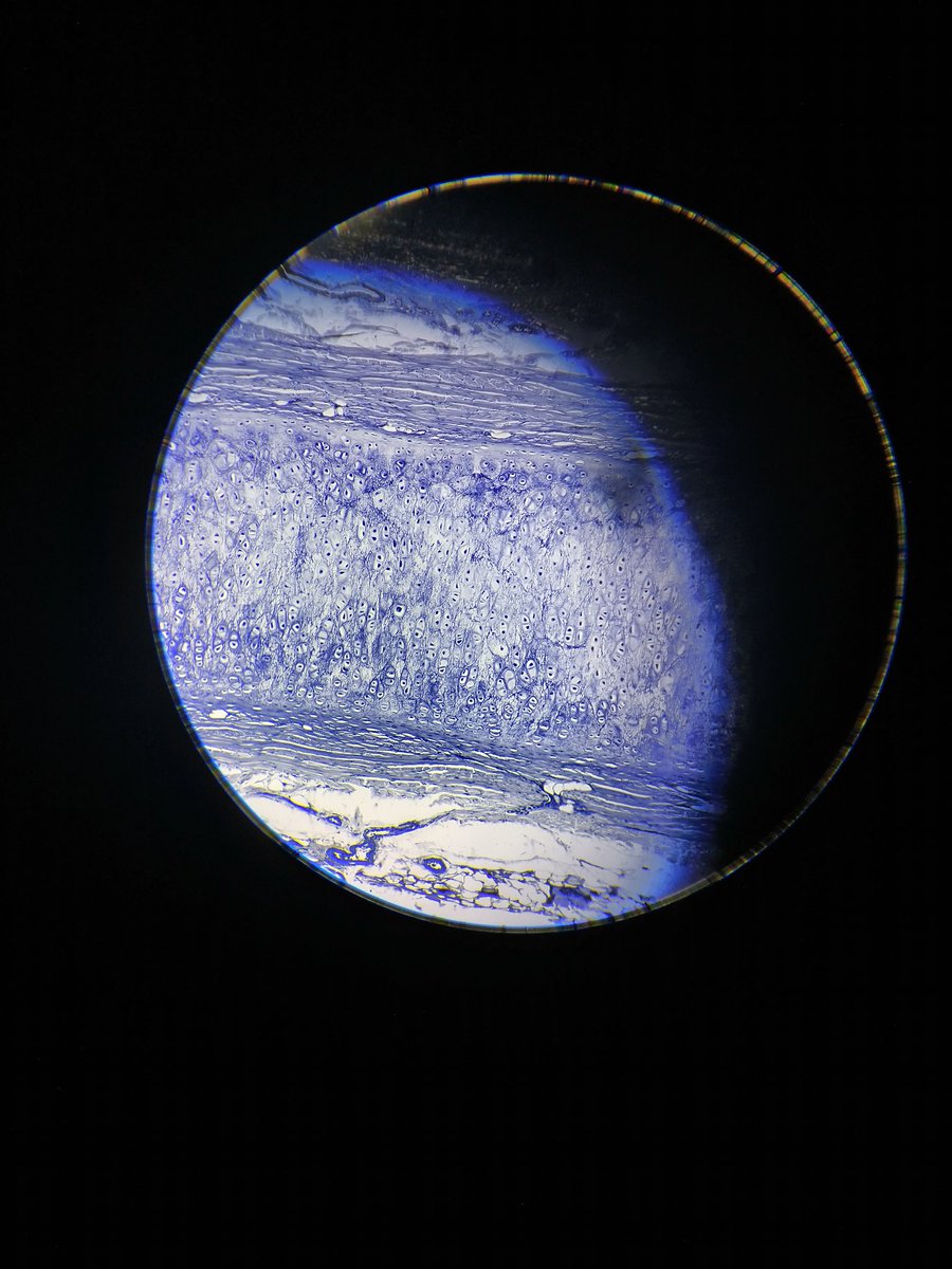 trux🔞 tweet media