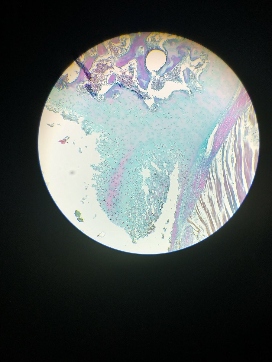 trux🔞 tweet media